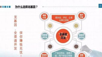 龍基因加盟 實(shí)體店培訓(xùn)成就火爆加盟店，教育信息咨詢助力創(chuàng)業(yè)成功