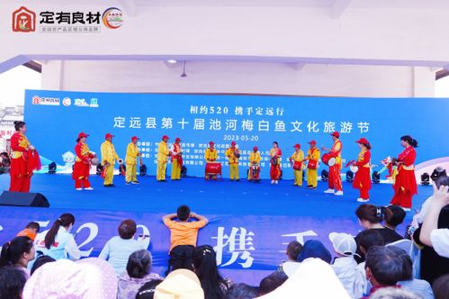魚躍池河 詩(shī)畫定遠(yuǎn)——第十屆池河梅白魚文化旅游節(jié)文體活動(dòng)策劃方案